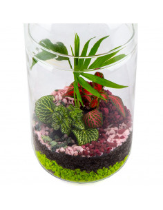 Terrarium Bomboniera... 2