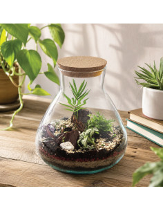 Terrarium In Vetro Tappo In... 2