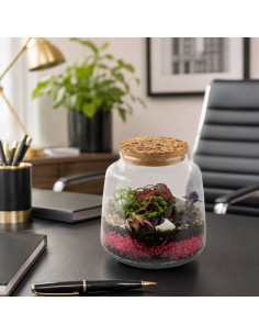 Terrarium In Vetro Tappo In... 2