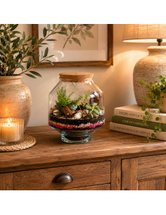 Terrarium Piante Tropicali... 2