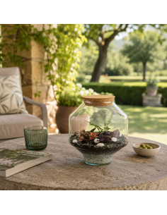 Terrarium Piante Tropicali... 2