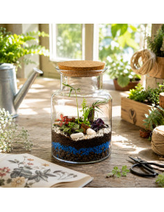 Terrarium Piante Tropicali... 2