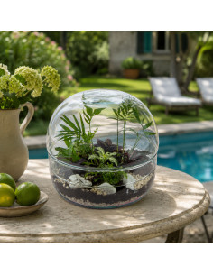 Terrarium Globo In Vetro... 2