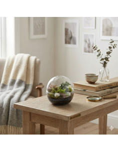 Bomboniera Terrarium Mini... 2