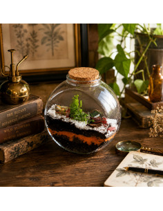 Terrarium Ovale Vetro... 2