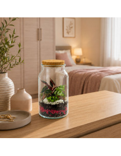 Terrarium Bomboniera Piante... 2