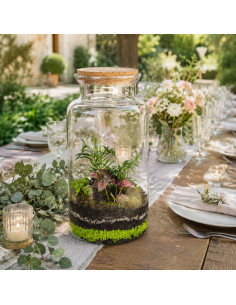 Terrarium Piante Tropicali... 2