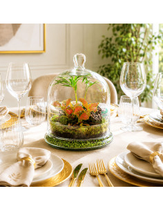 Terrarium Piante Tropicali... 2