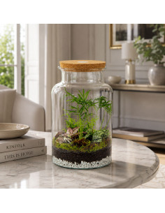 Terrarium Piante Tropicali... 2
