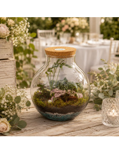 Terrarium Piante Tropicali... 2