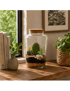 Terrarium Aperto In Vetro... 2