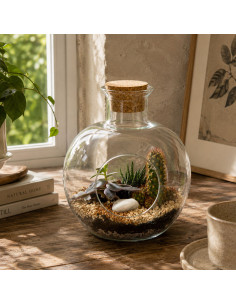 Terrarium Bottle In Vetro... 2