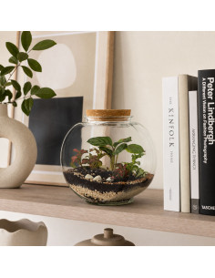 Terrarium Ovale Grande... 2