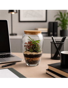 Terrarium Vetro Bombato... 2