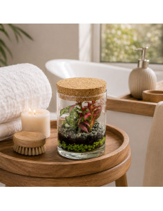 Bomboniera Terrarium Wood... 2