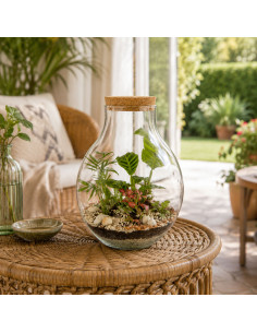 Terrarium Piante Tropicali... 2