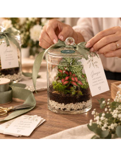 Bomboniera Terrarium Garden... 2