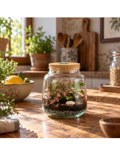 Terrarium In Vetro Tappo In... 2