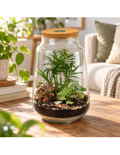 Terrarium In Vetro Tappo In... 2