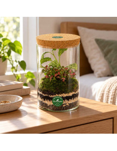 Terrarium Cilindro Vetro... 2