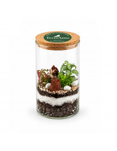 Terrarium Vetro Piante... 2
