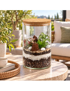 Terrarium Vetro Piante... 2