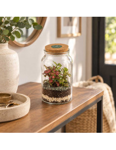 Terrarium Bomboniera Piante... 2